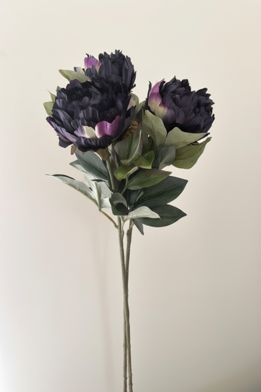 Night Sky dark peony bouquet on cream background
